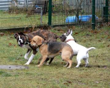 Pension_73