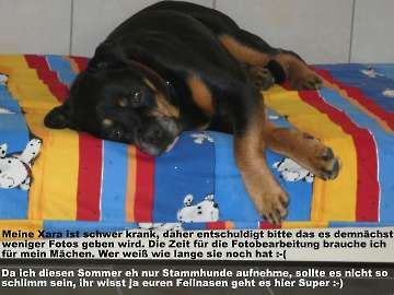Pension_31