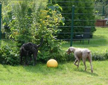 Pension_6