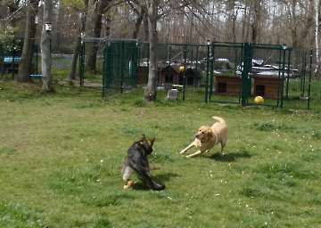 Pension_10