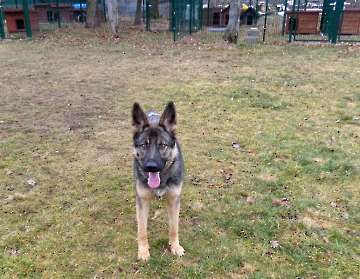 Pension_9