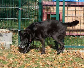Pension_46