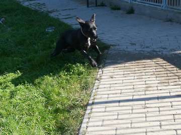 Pension_51