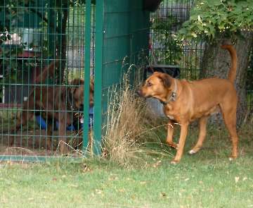 Pension_11
