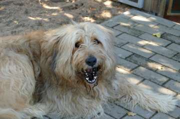 Pension_16