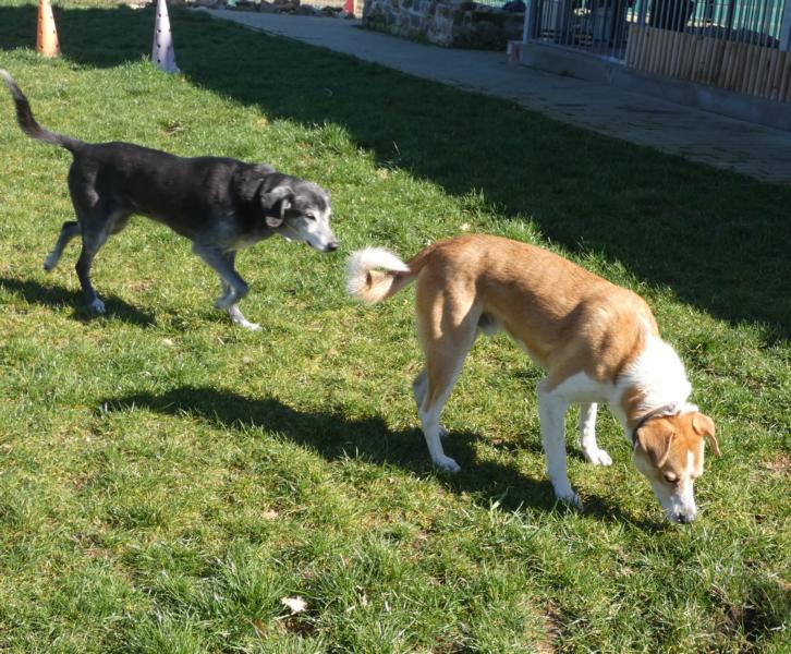 Pension_9