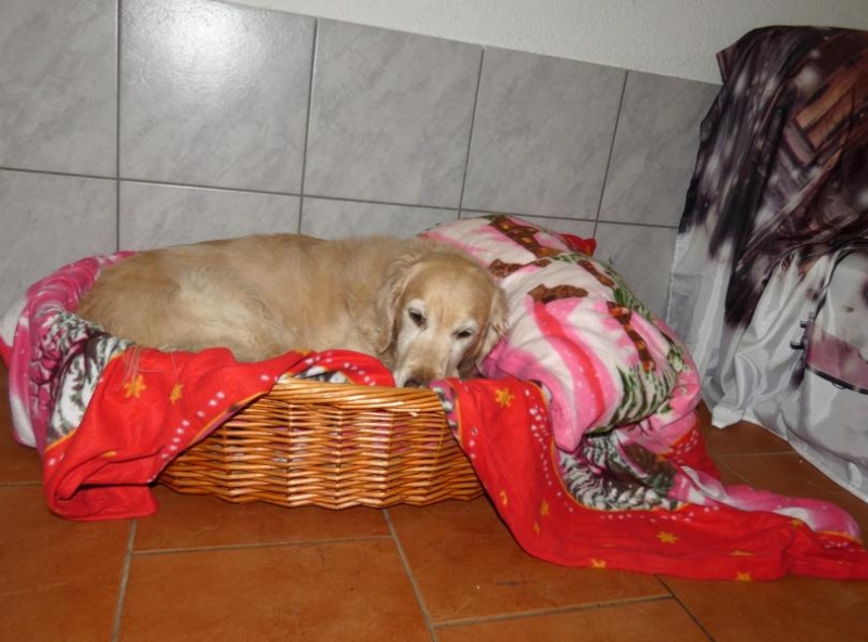 Pension_3