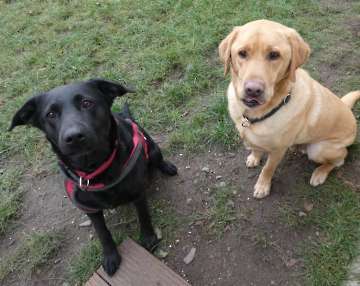 Pension_38