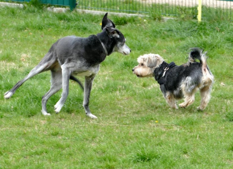 Pension_29