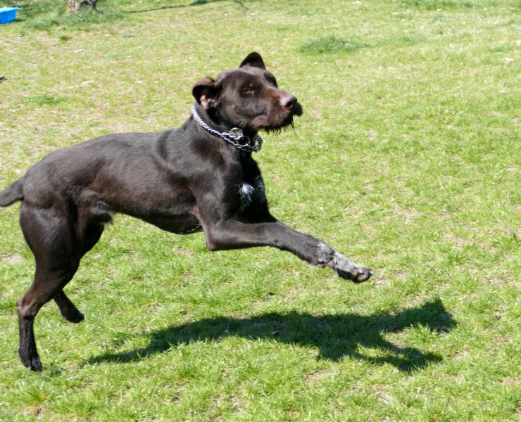 Pension_3