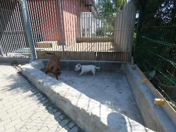 Pension_43