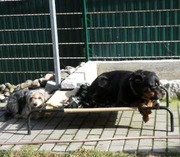 Pension_10