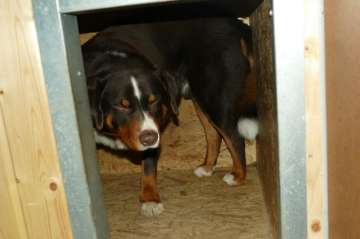 Pension_12
