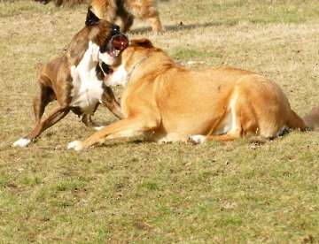 Pension_19