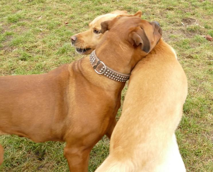 Pension_2