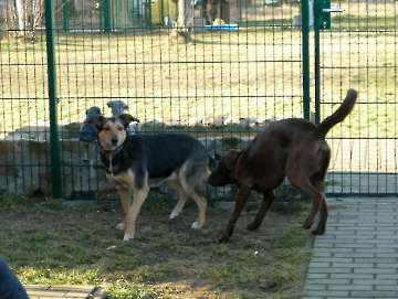 Pension_2