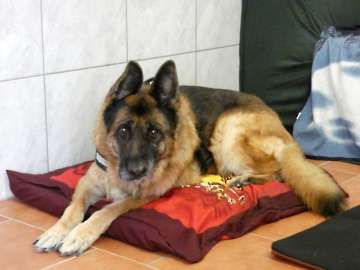Pension_29