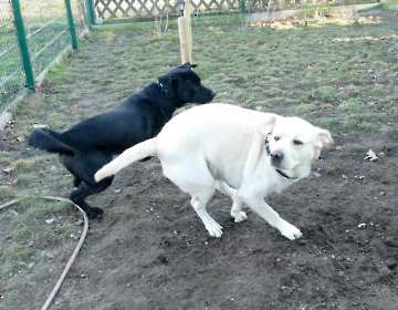 Pension_4