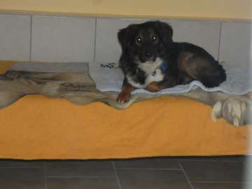Pension_11