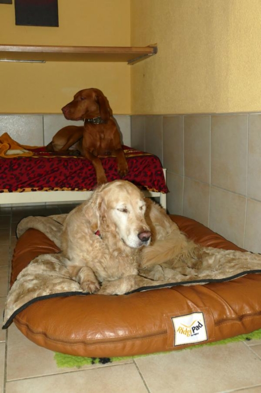 Pension_19
