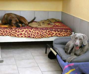Pension_35