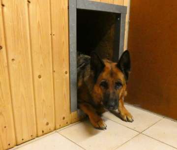 Pension_12