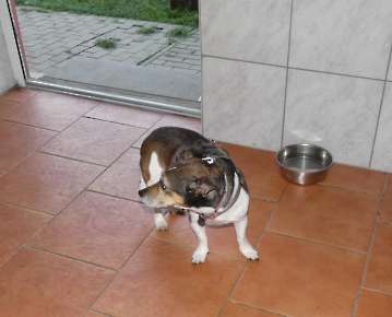 Pension_23