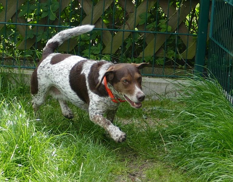 Pension_4